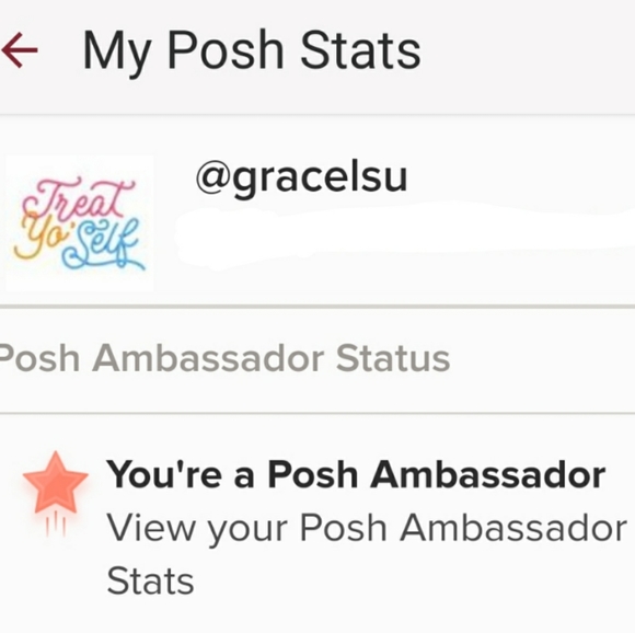 Meet the Posh Ambassador - Picture 2 of 3